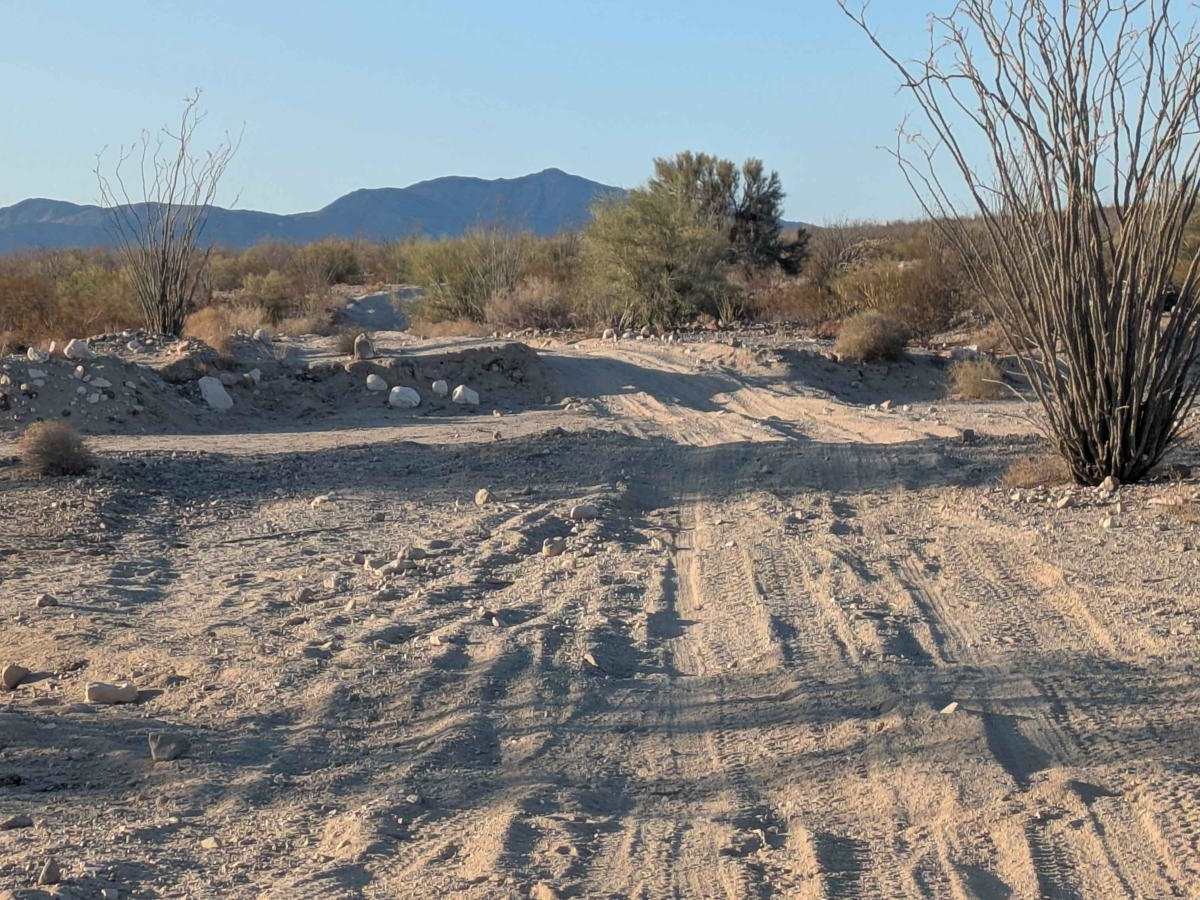 Baja Whoop Line photo 4