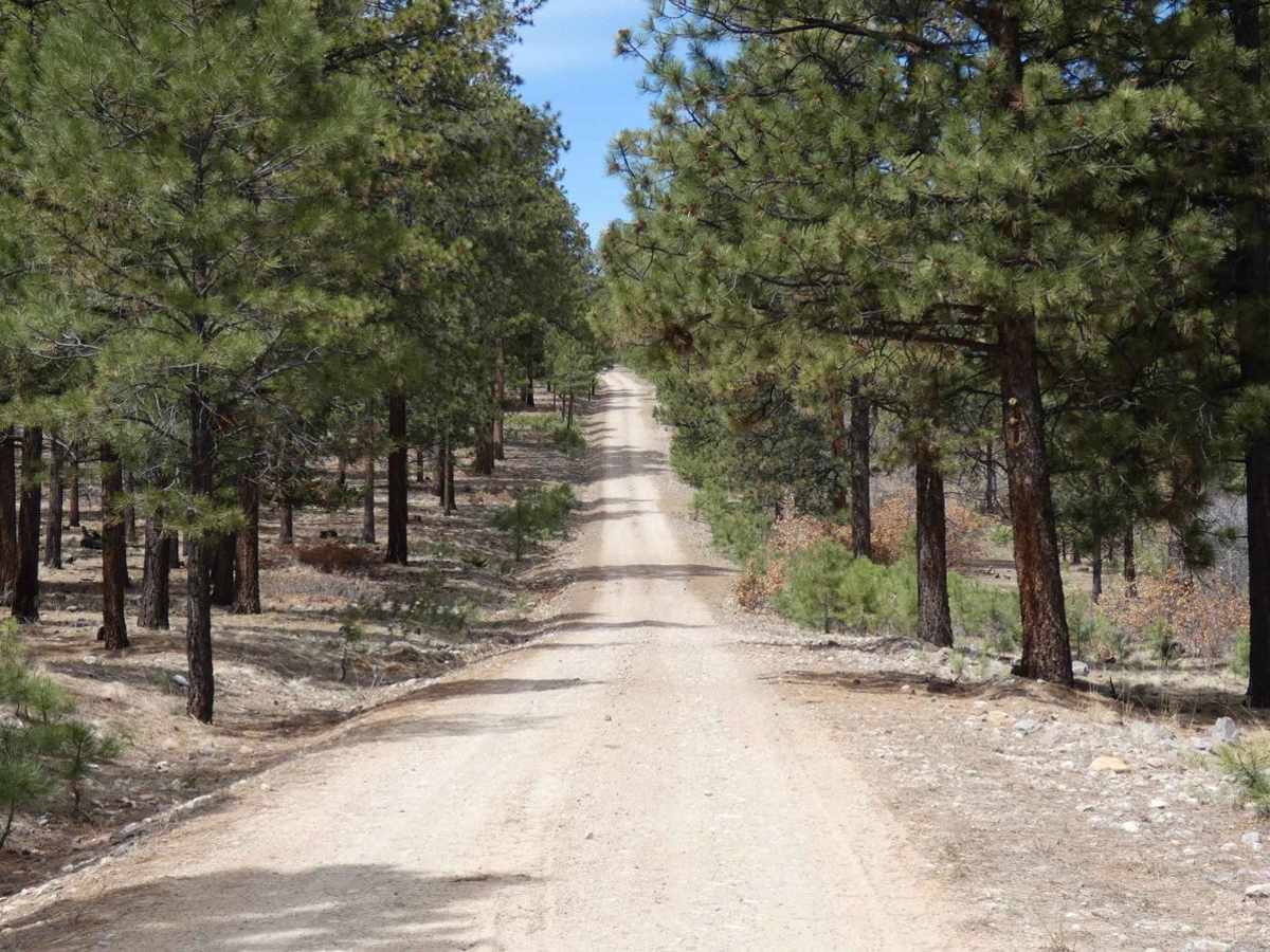 Kiowa Mountain photo 4