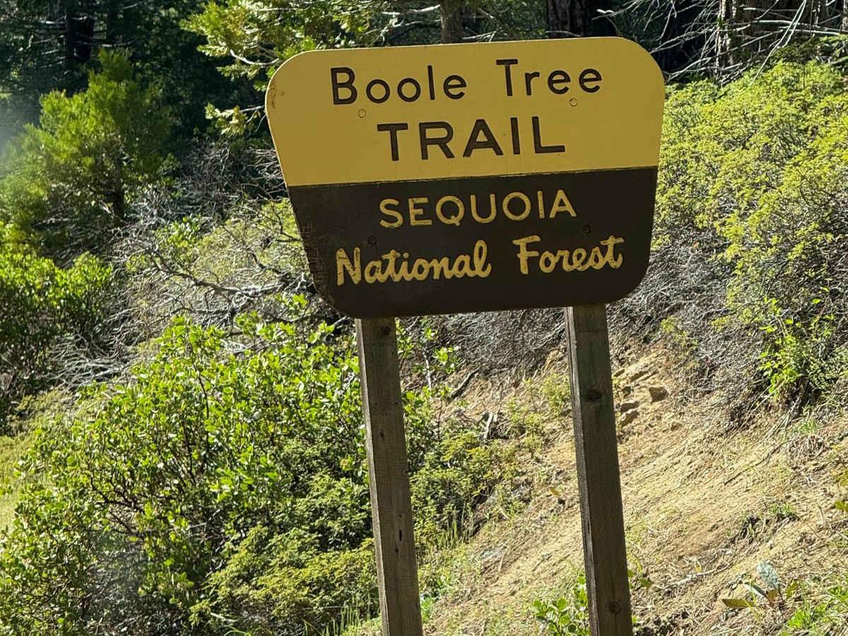 Boole Tree Trailhead trail photo