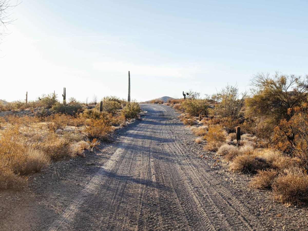 Little Horn Peak Road photo 3