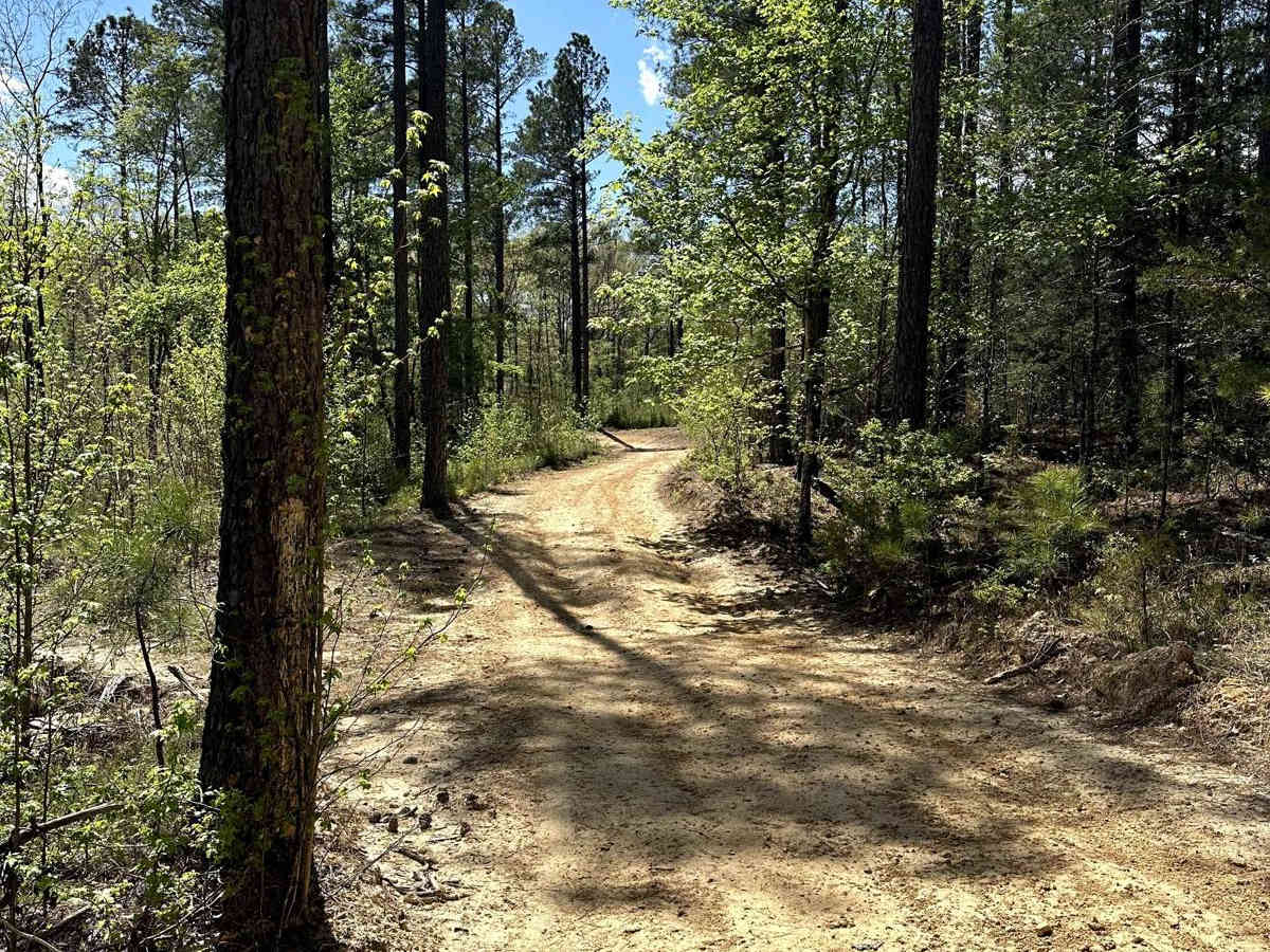 Trail 41 photo 2