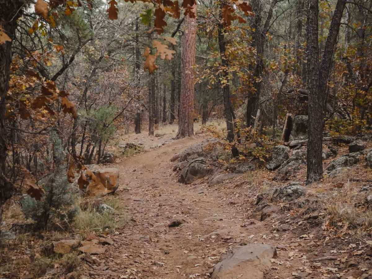 Munds Canyon photo 4