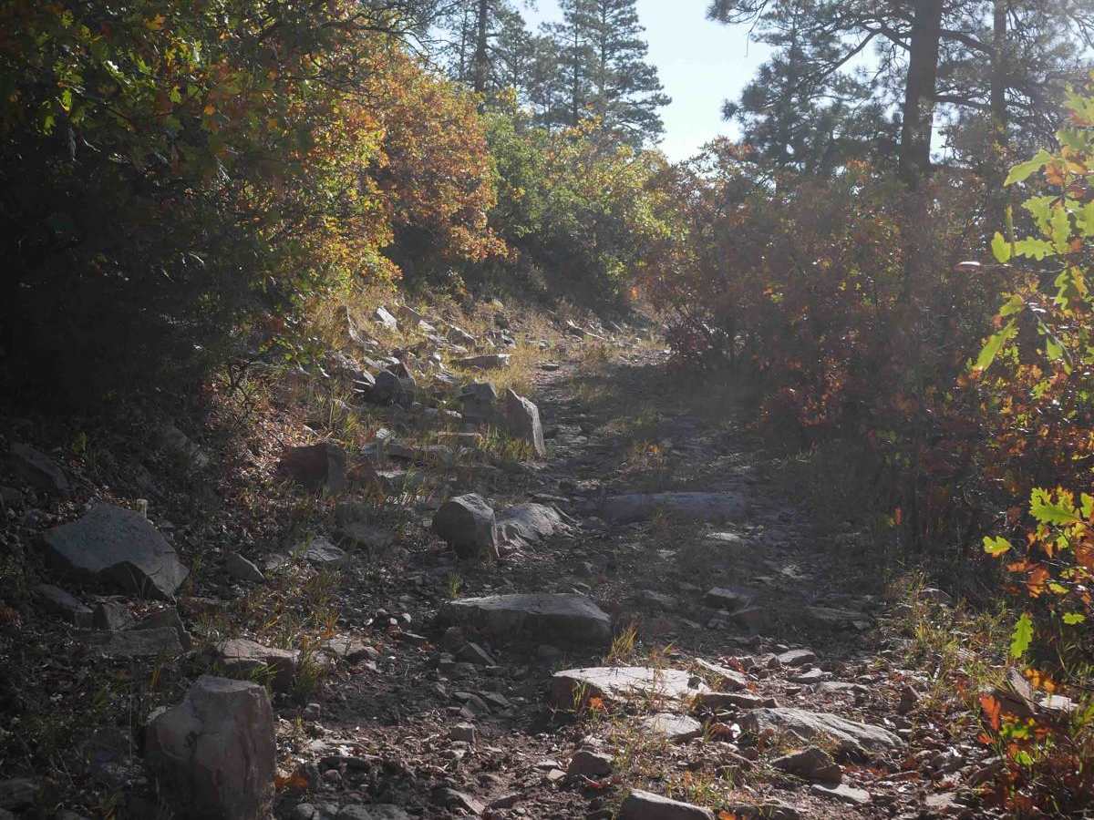 Elk Creek photo 6