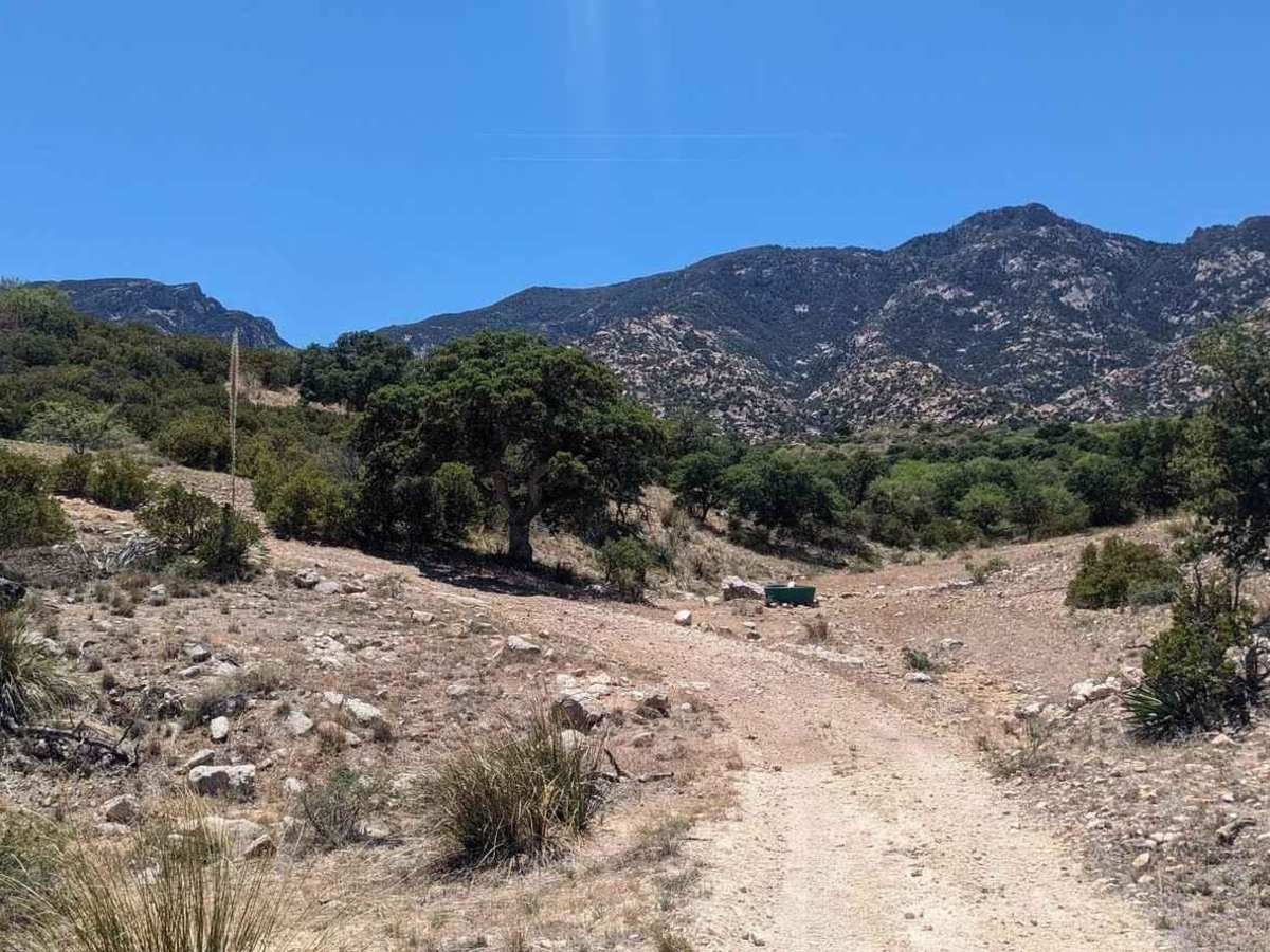 Old Happy Valley Road FR 4406 trail photo