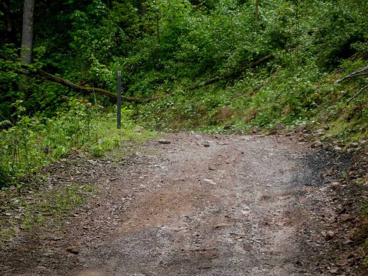 RH 23 trail photo