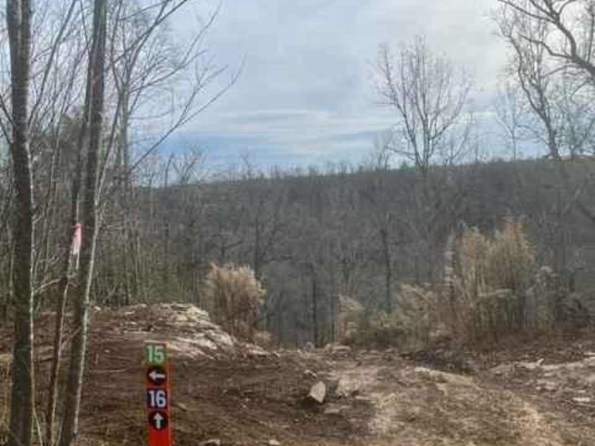 Coalmont Trail 15 photo 4