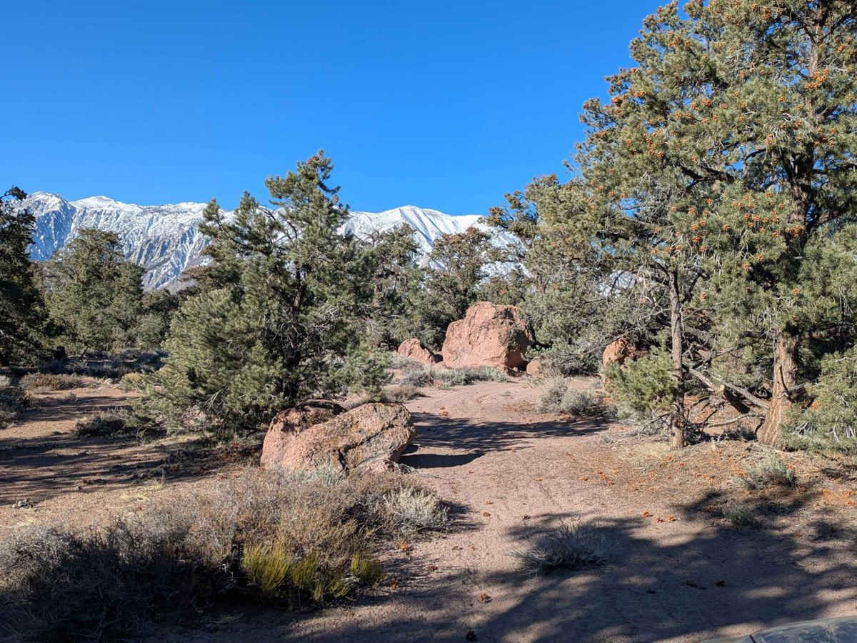 FS 4S132 trail photo