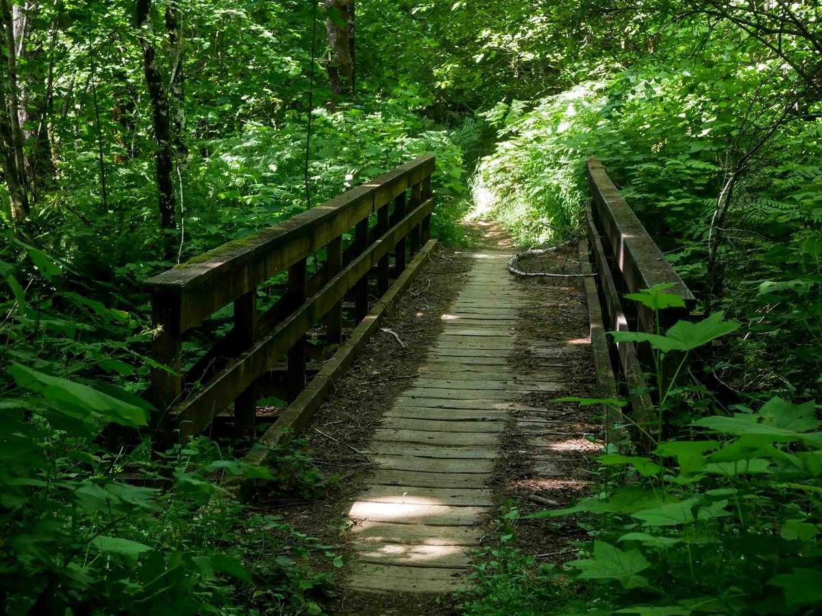 Jordan Creek #84 (Part 1) trail photo