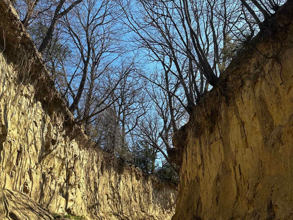Waubonsie Creek Trail - Pathfield Road trail photo