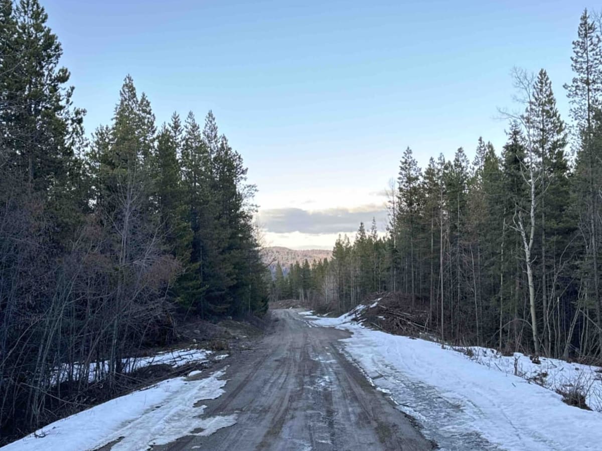 Bear Lake Main FSR photo 6