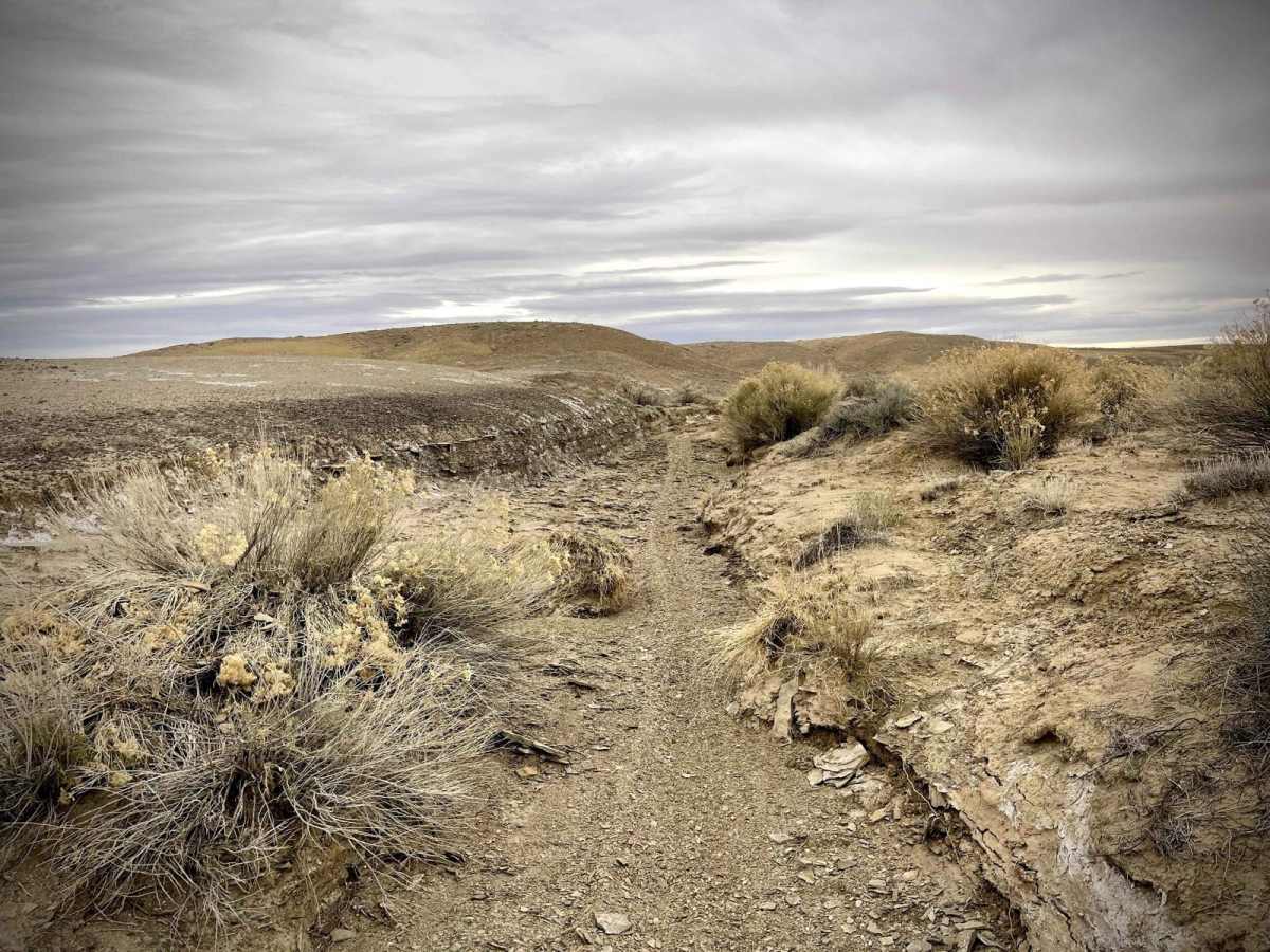 Moon Walk - BLM 9172 photo 3