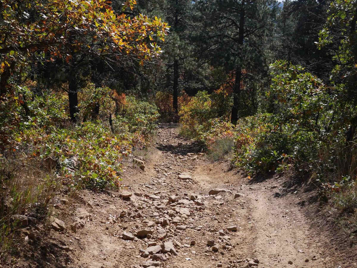 South Brockover trail photo