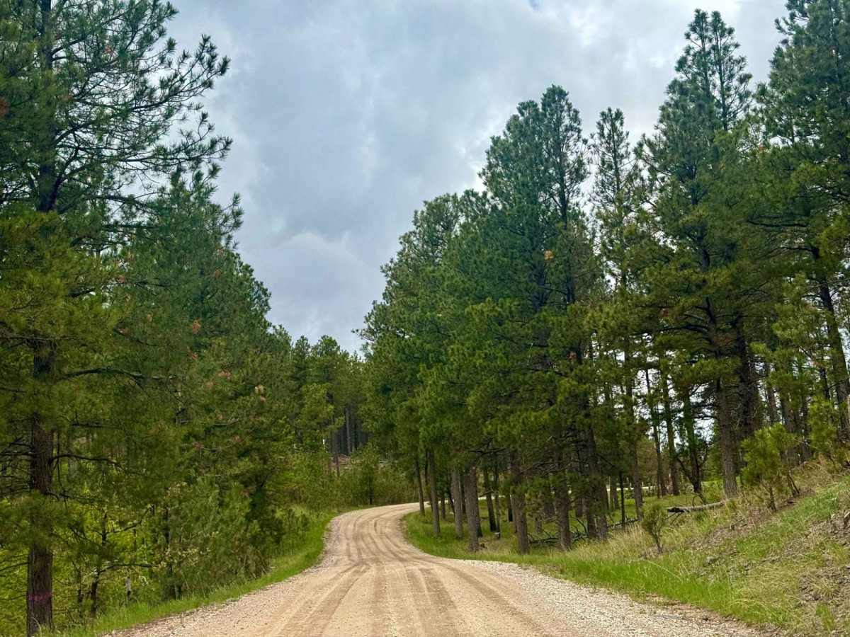Beretta Road - FS 366.3 photo 5