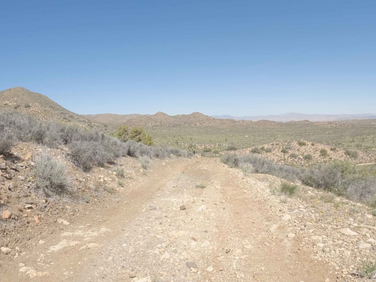 Spur - BLM C2317 trail photo