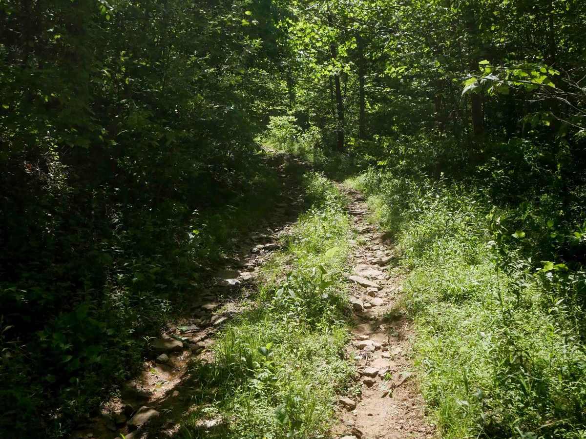 RV41 trail photo