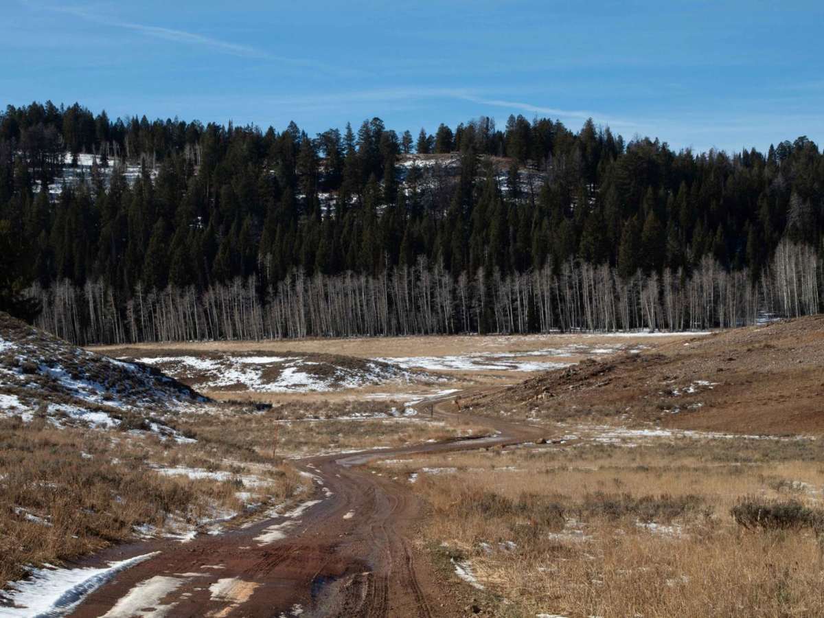 Curtis Creek Road (FR059) photo 6