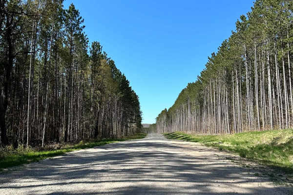 Cadillac Area ORV/OHV Scenic Ride - Part 19