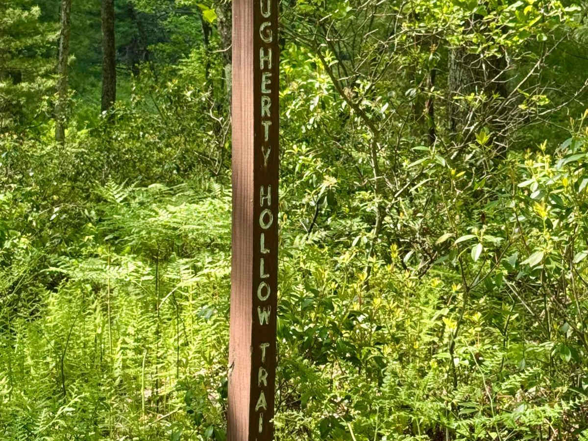 Seven Mile Road photo 5