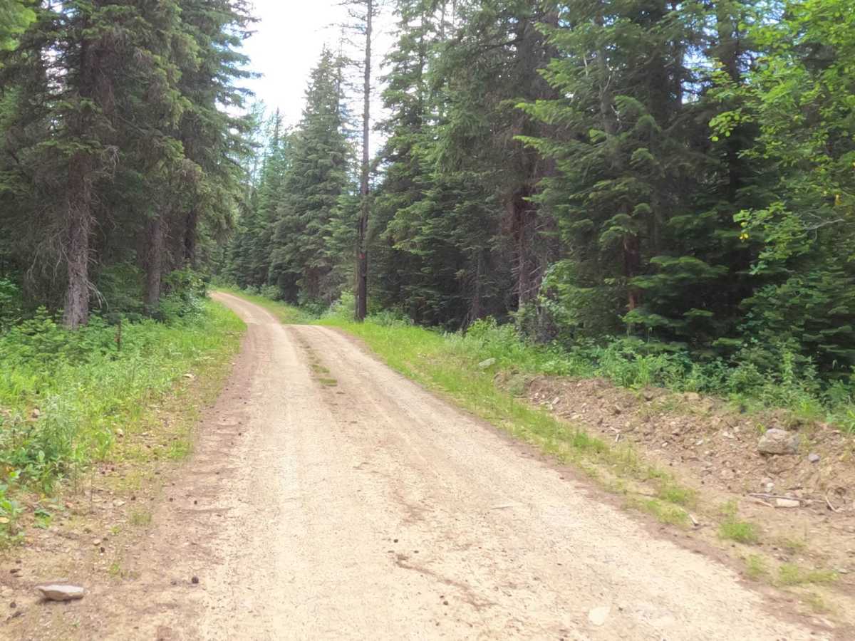Snowshoe Pass - FSR 488 photo 2