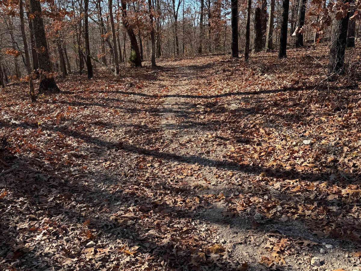 Green 216 trail photo