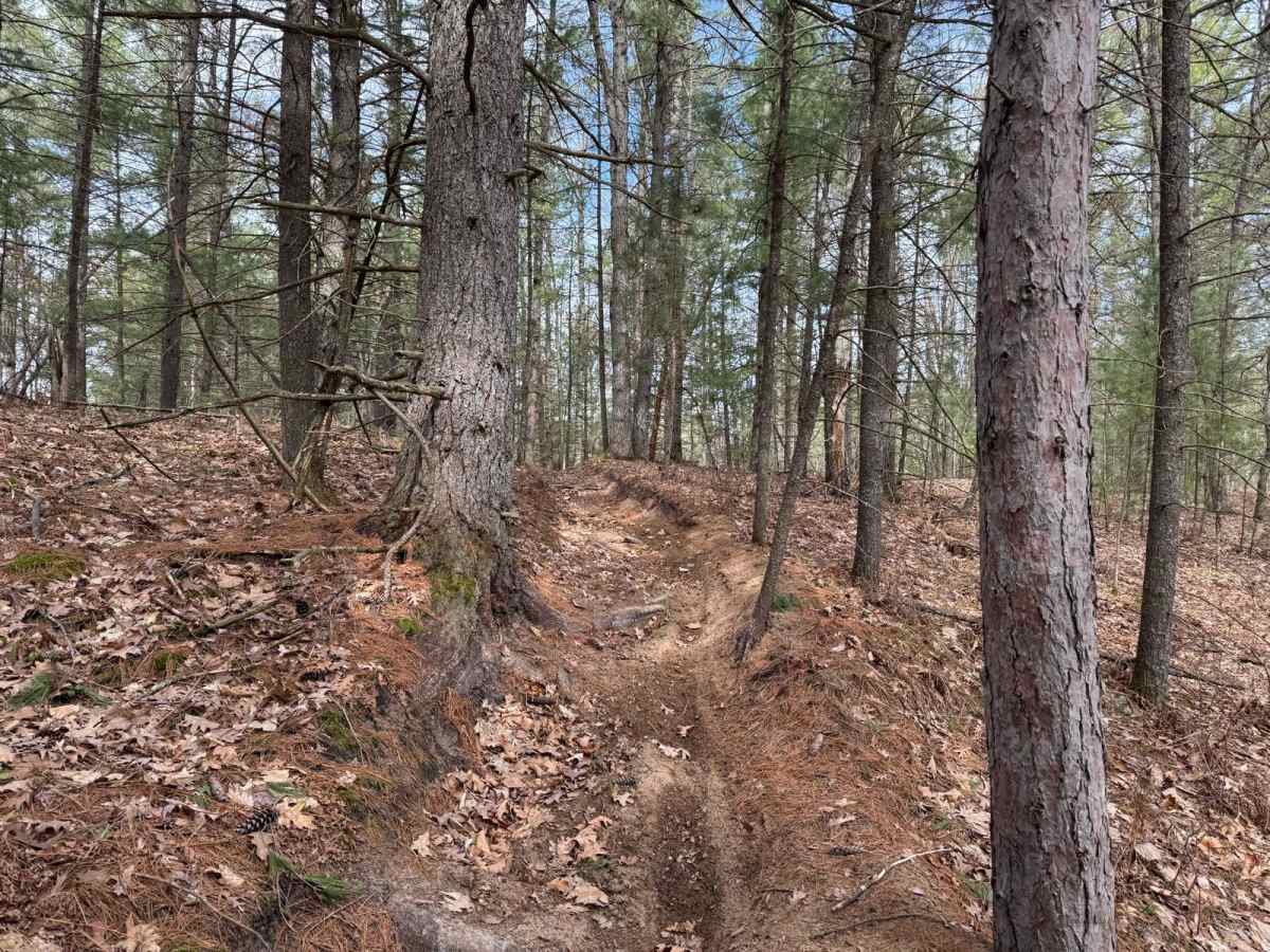 Grand Traverse North photo 2