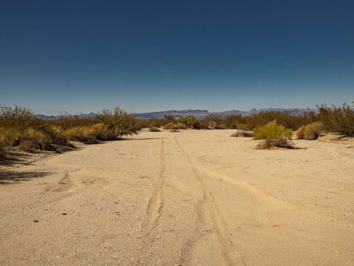 Bullard Wash South photo 3