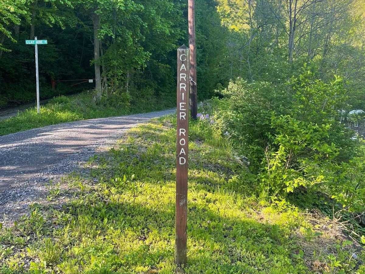Carrier Road trail photo