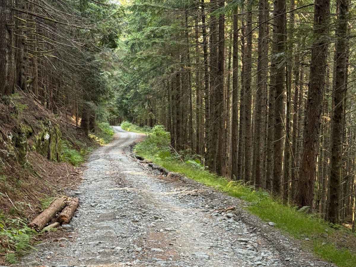 Bear Lake Trail photo 2