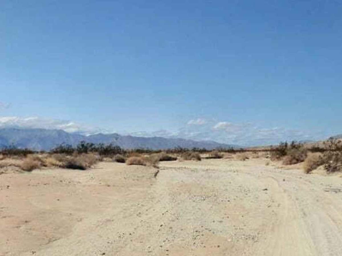 Tarantula Wash trail photo