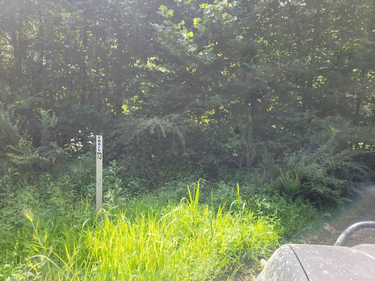 73 - Harness Creek photo 3