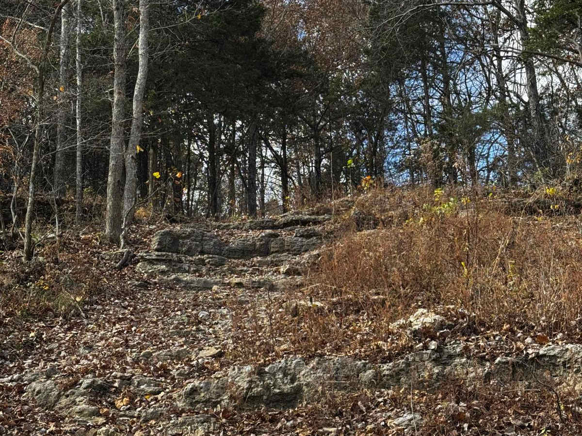 Bad Decisions trail photo