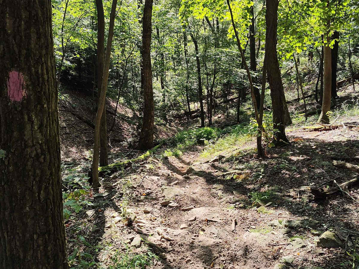 Horseshoe Bend Trail photo 4