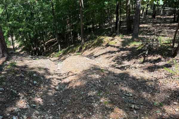 Joey's Trail