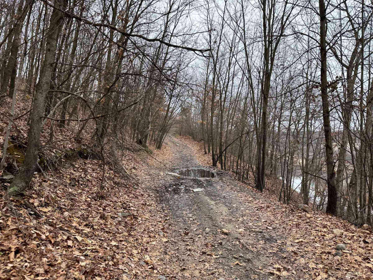 Marion Bridge Trail photo 3