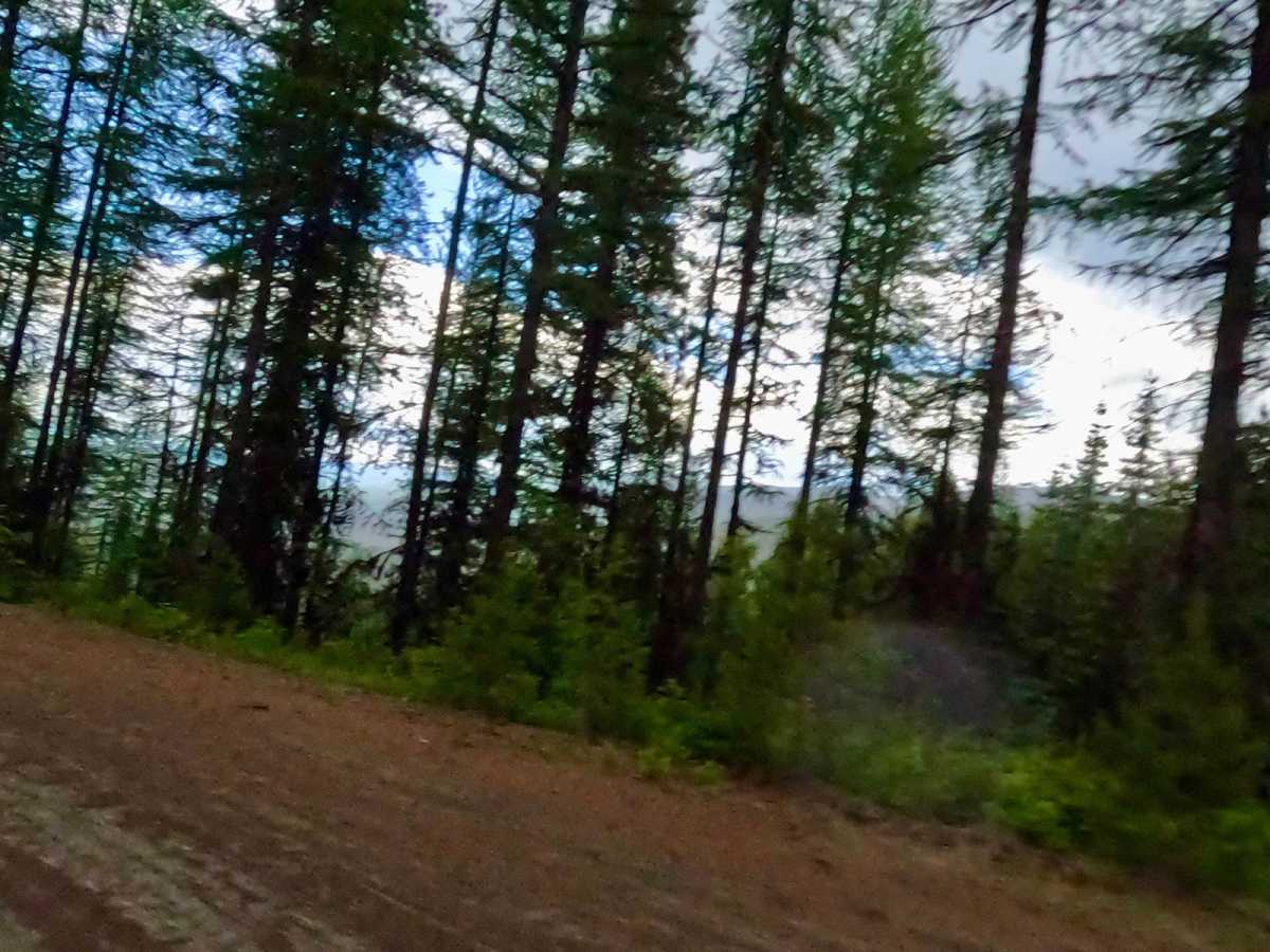 Siegel Pass-Nine Mile Rd photo 3
