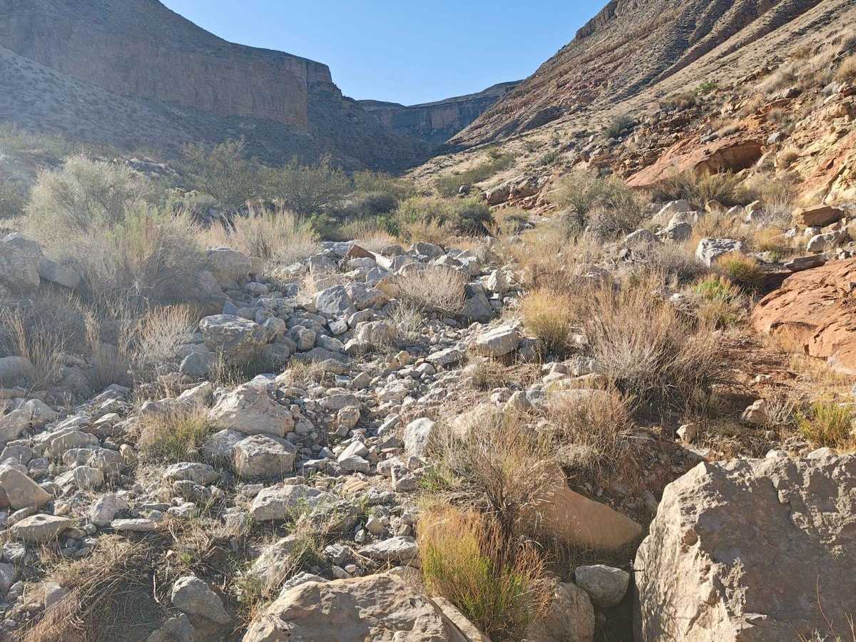 Cottonwood Canyon Express - Single Track photo 3