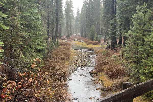 Trout Creek