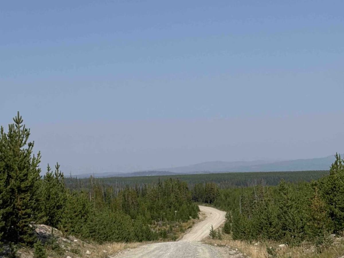 Bear Lake Main FSR trail photo