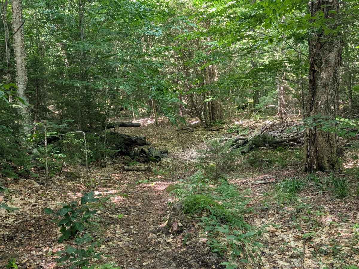 TeePee Road - Lower Sellecks Camp Road photo 5