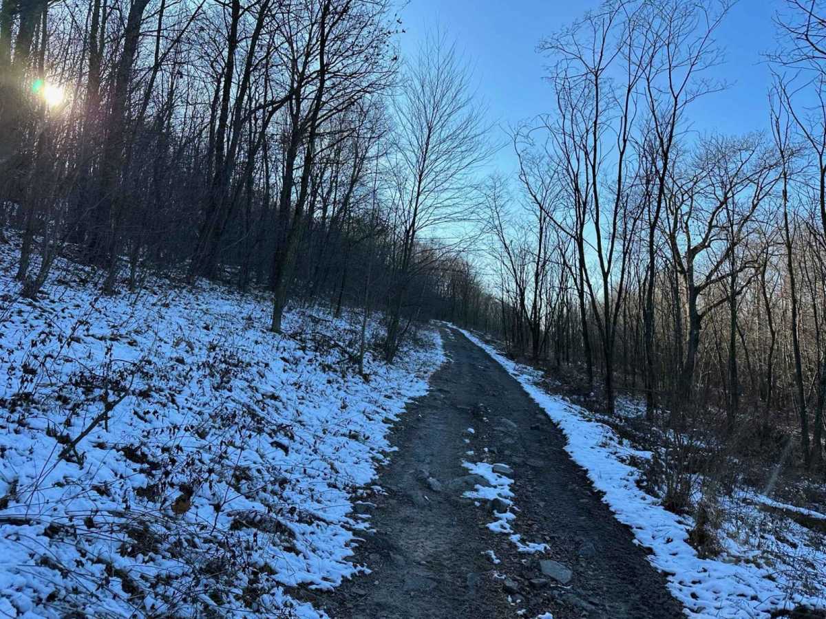 Locust Gap 7 - South photo 5