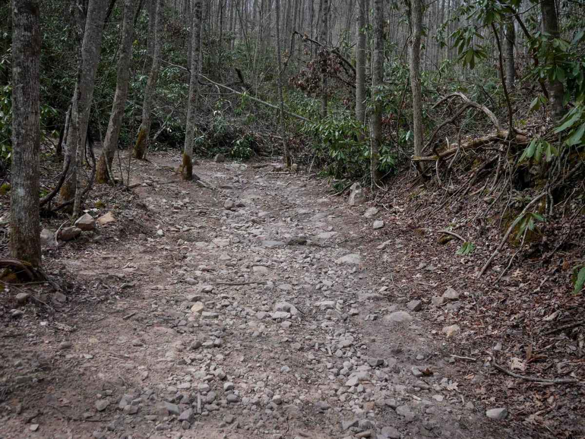 26 trail photo