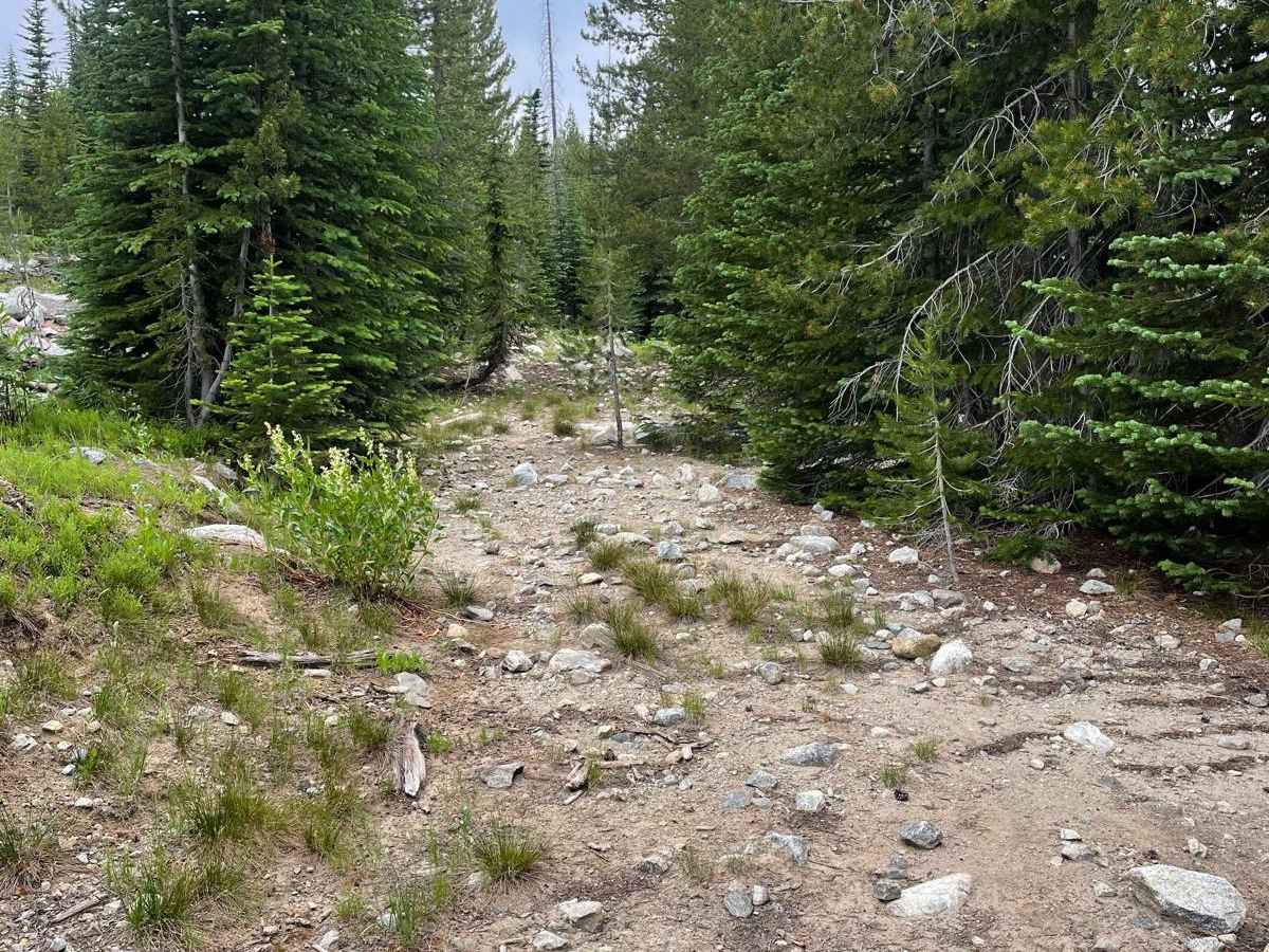 Big Hazard ATV photo 2