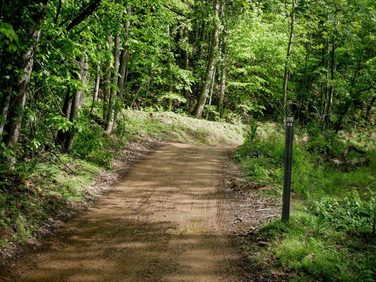 RH 44 trail photo