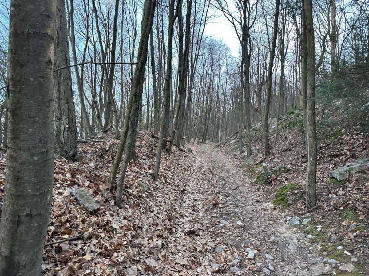 Tower City 14 trail photo