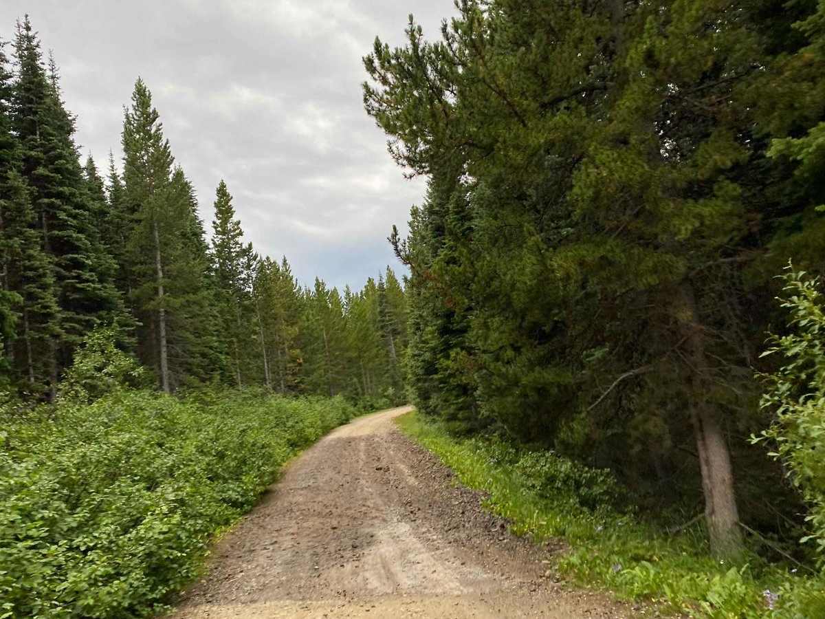 Cliff Creek Trail photo 4