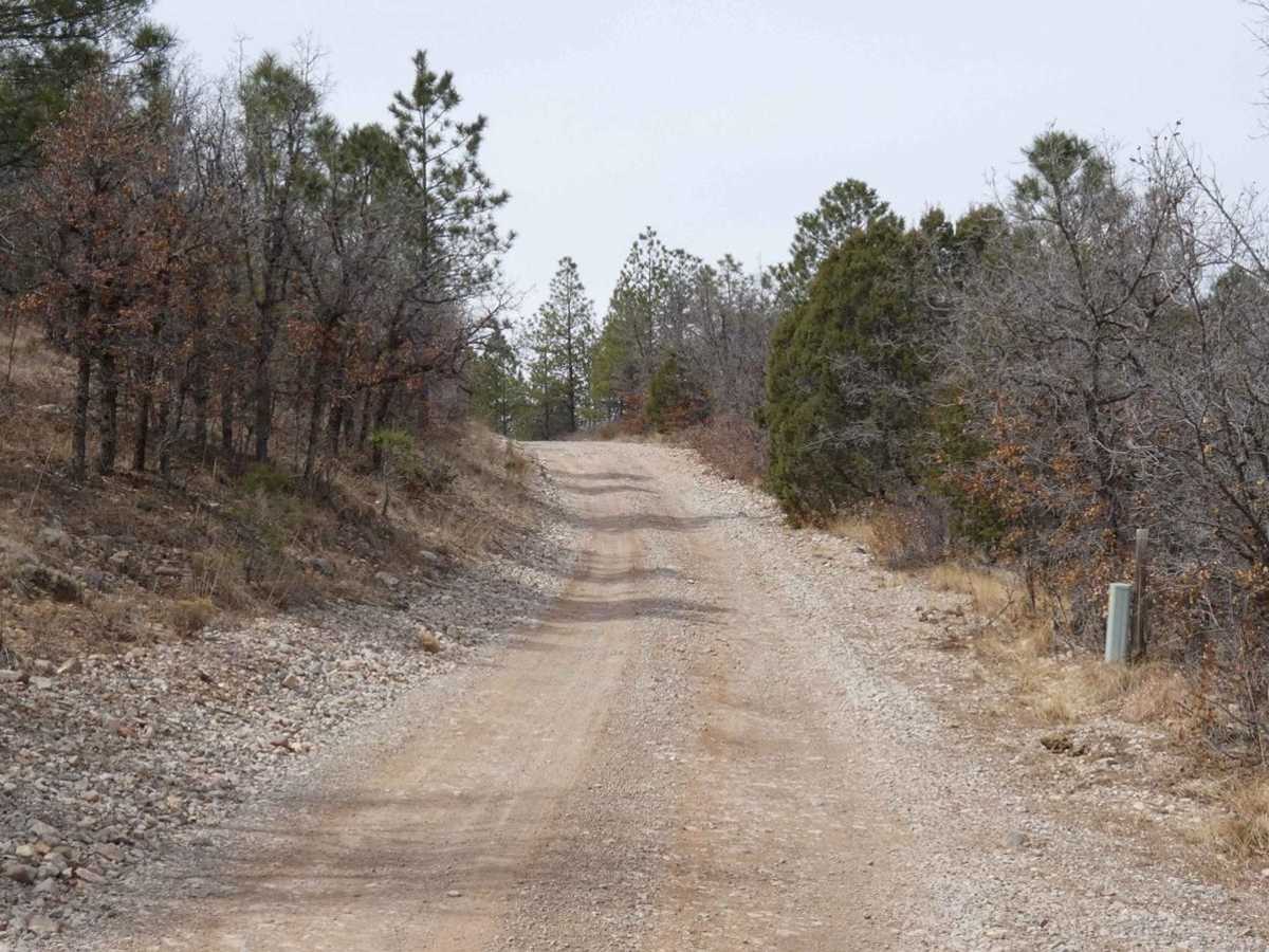 Curtis Canyon photo 4