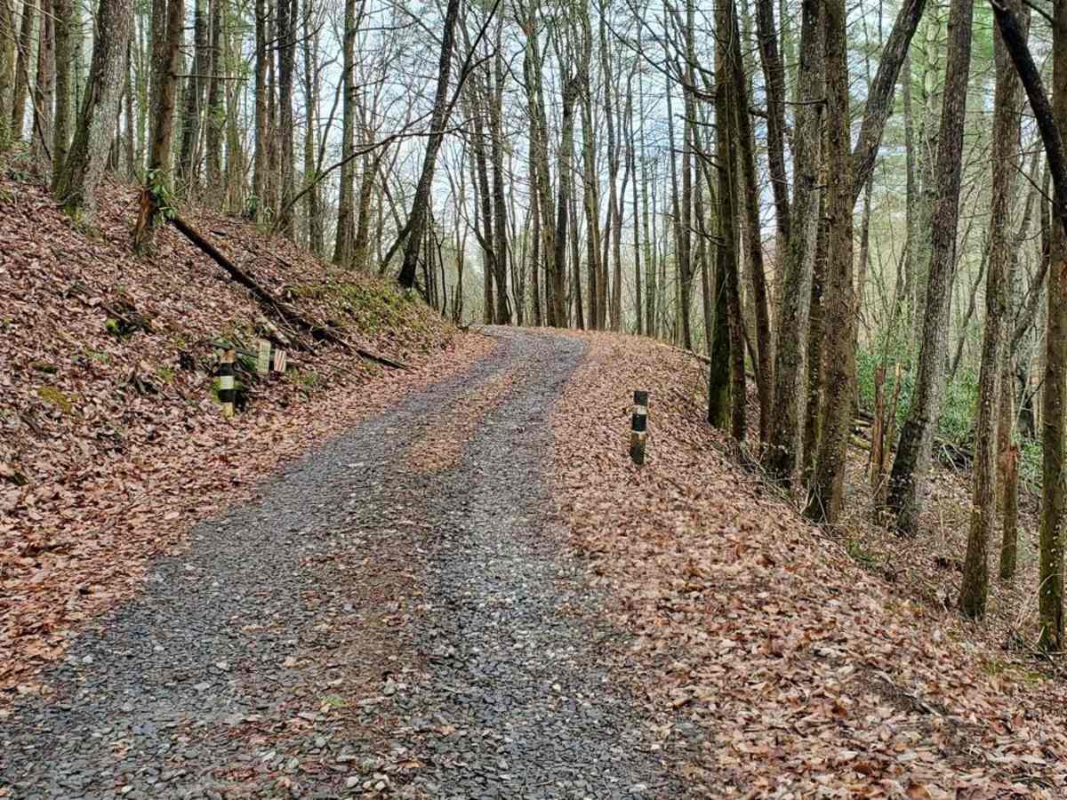 Cold Mountain - FSR 295 photo 2
