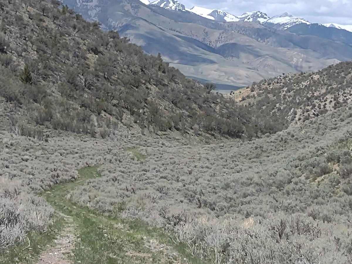 Arco Pass to Horsethief Canyon photo 5