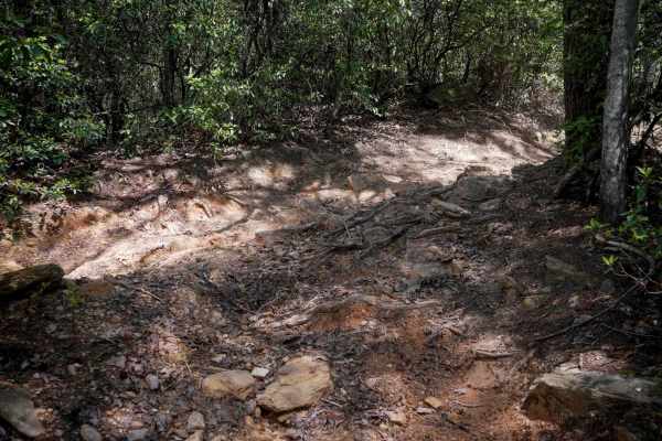 Ridge Top Trail C
