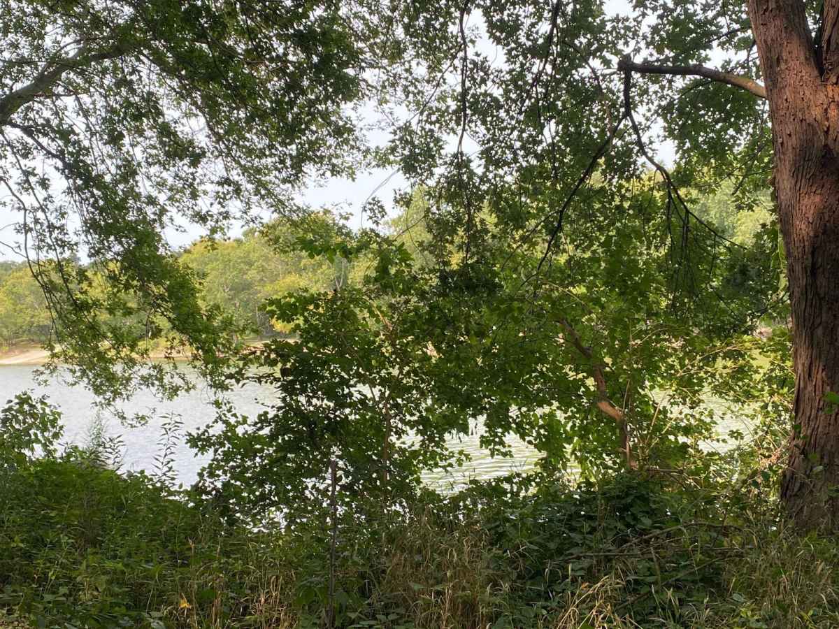 Turtle Trail photo 3